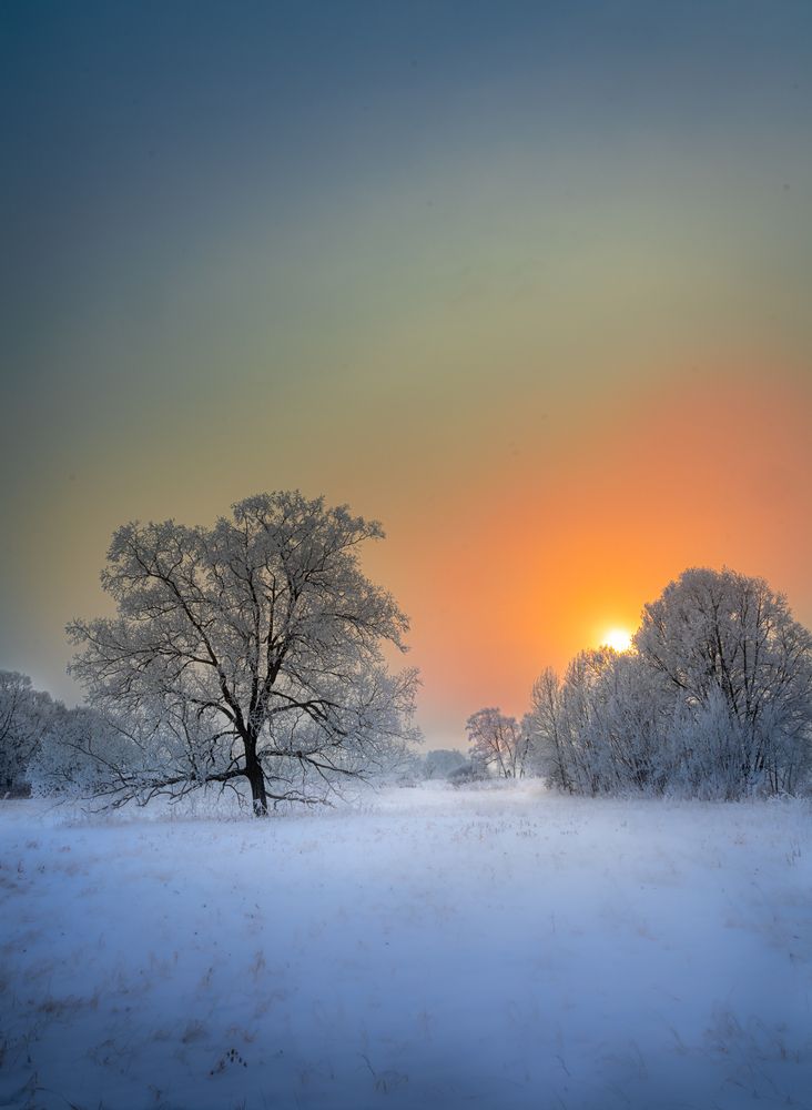Photograph by Александр Кузнецов
