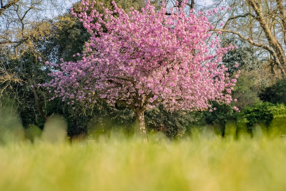 Фотография автора Eugenia Llanez