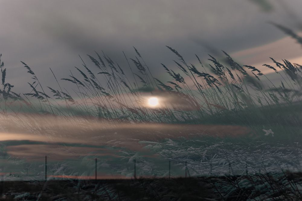 Photograph by Елена