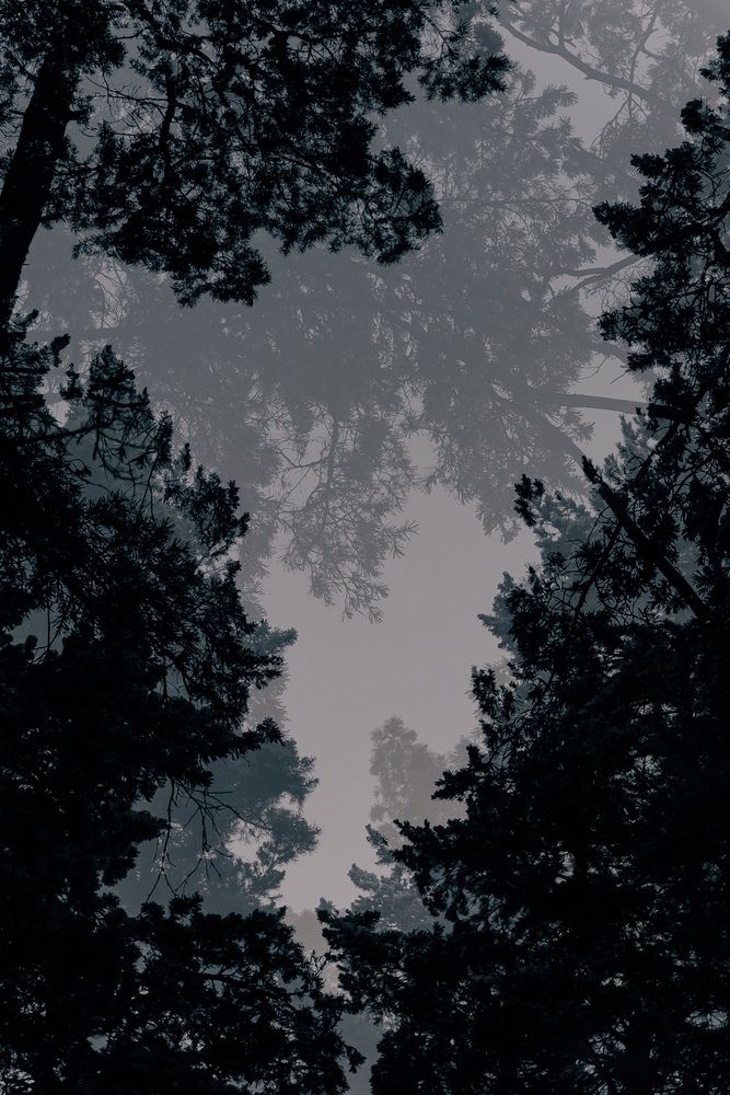 Photograph by Елена