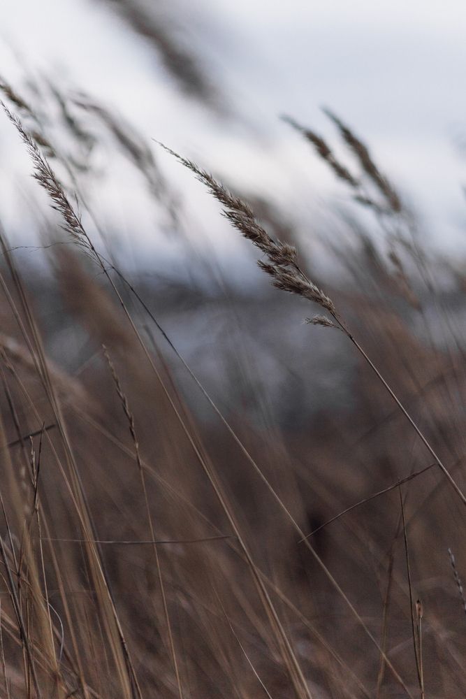 Photograph by Елена