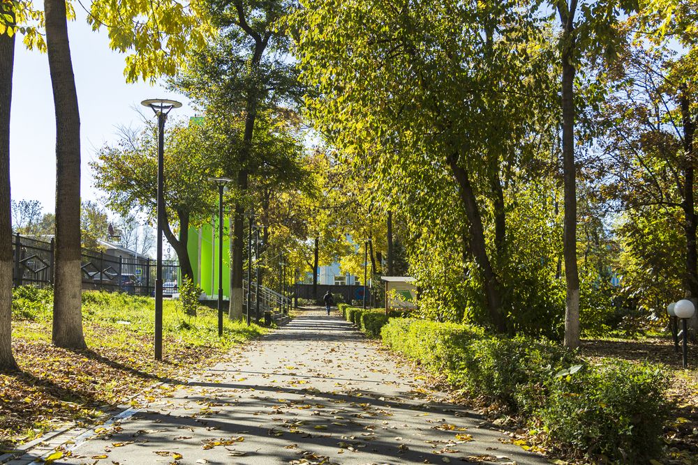 Photograph by Sergey Tsubanov