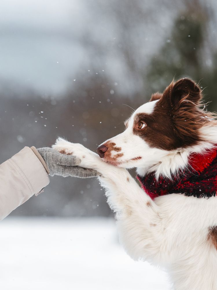 Photograph by Мария Клещенко