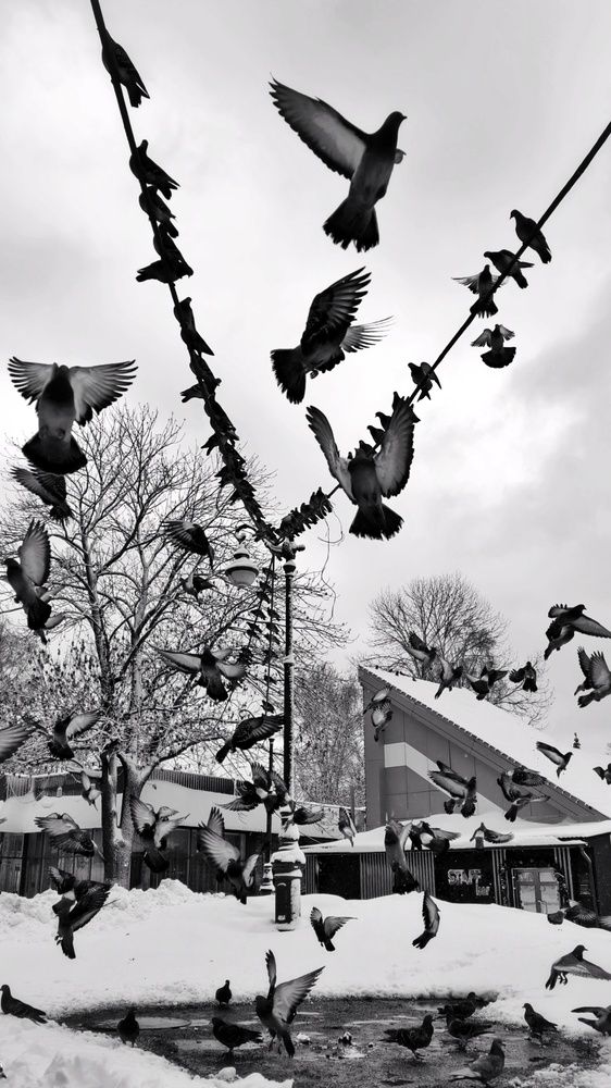 Photograph by Tatiana Shtun