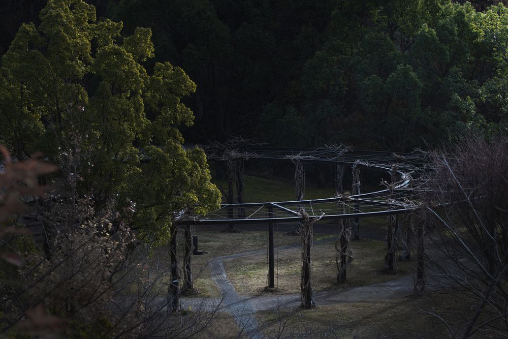 Photograph by KOHAGI