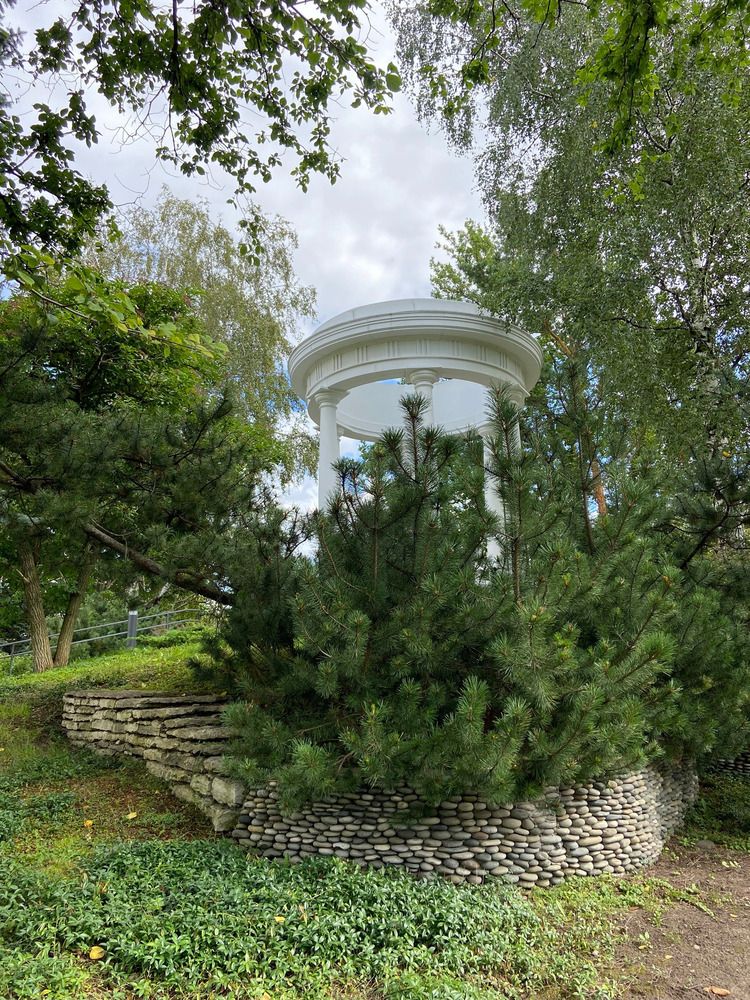 Photograph by Елена