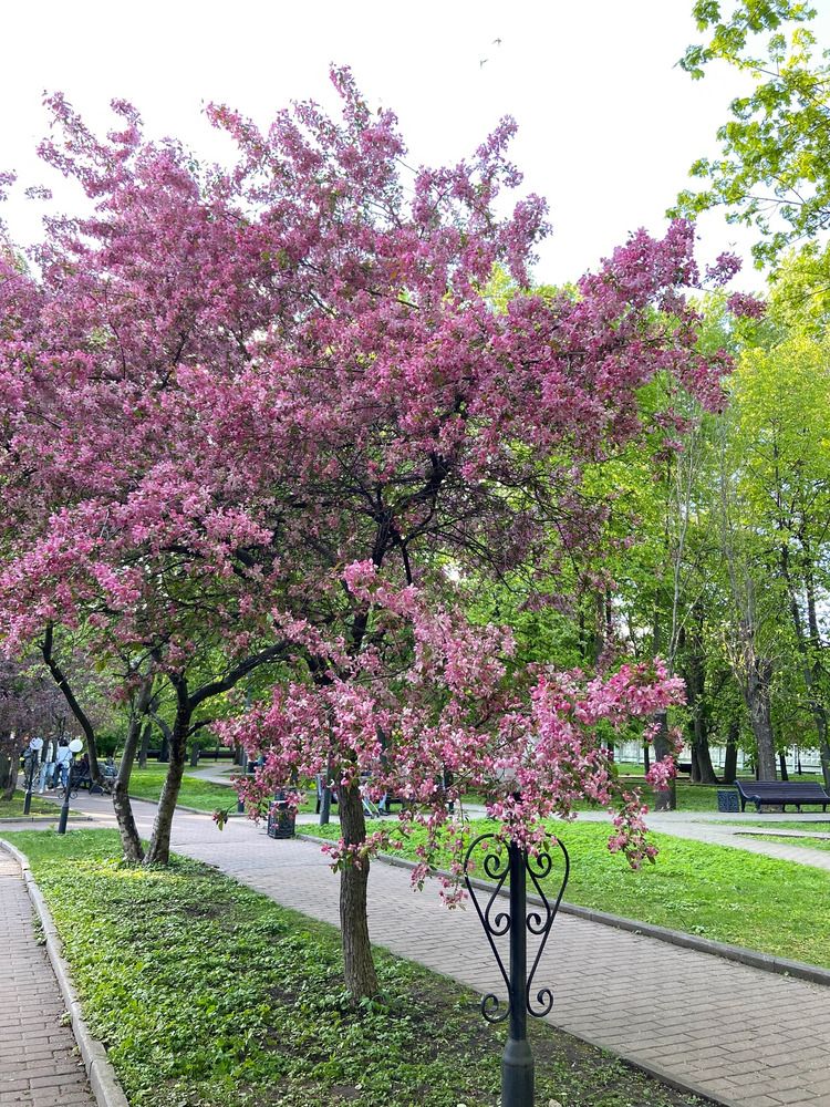 Photograph by Елена