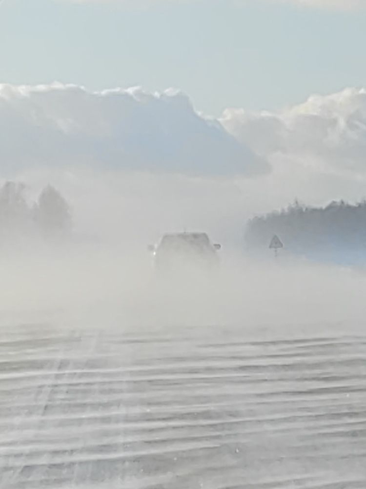 Фотография автора Алёна С-К
