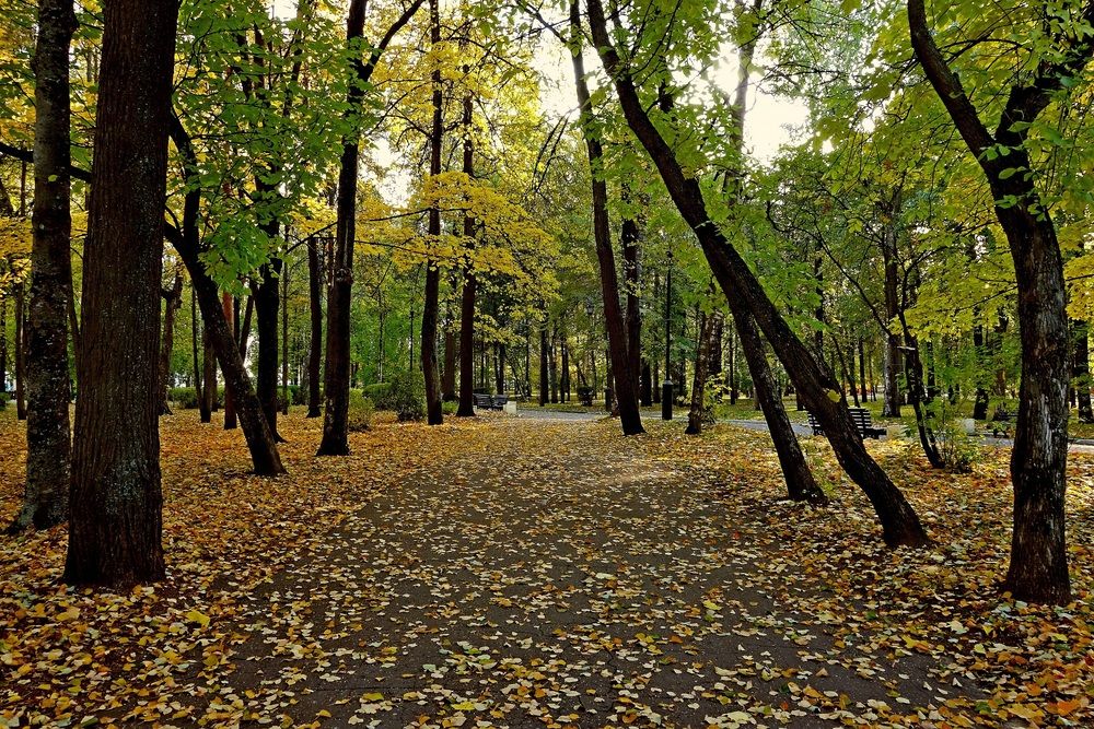 Photograph by Виктор Решетников