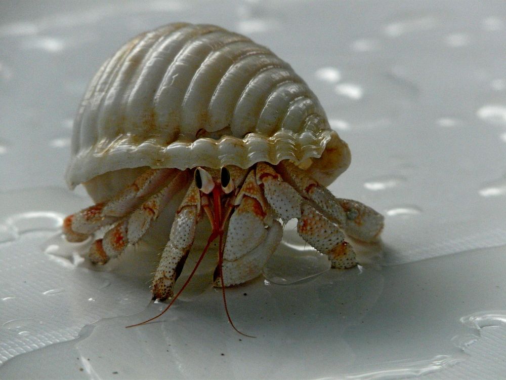 Photograph by николай зайцев