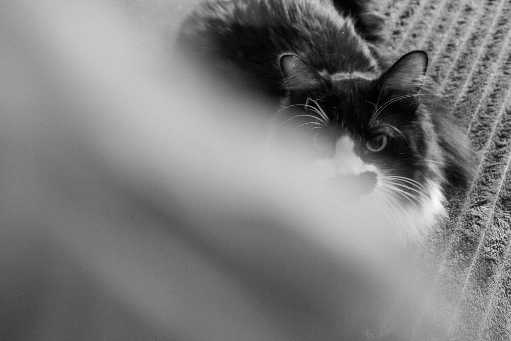 Фотография автора Любовь Малкина