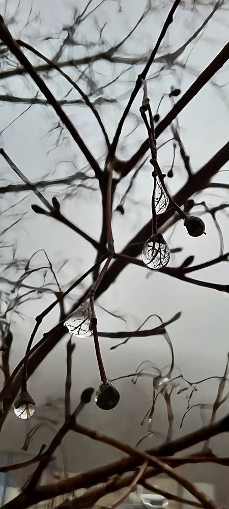 Photograph by Марина Бойко