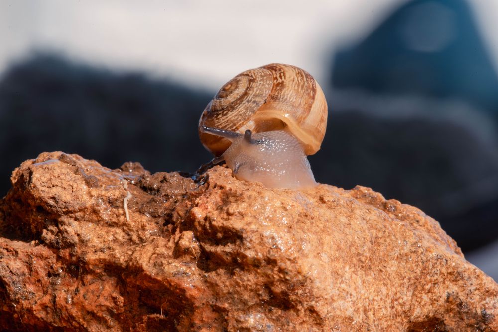 Фотография автора  Мария