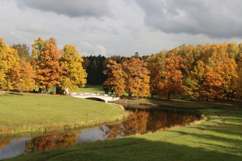Солнце выглянуло