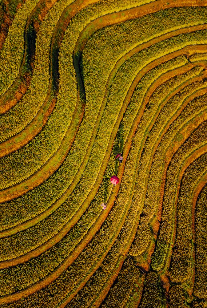 Фотография автора Lê Huy Anh