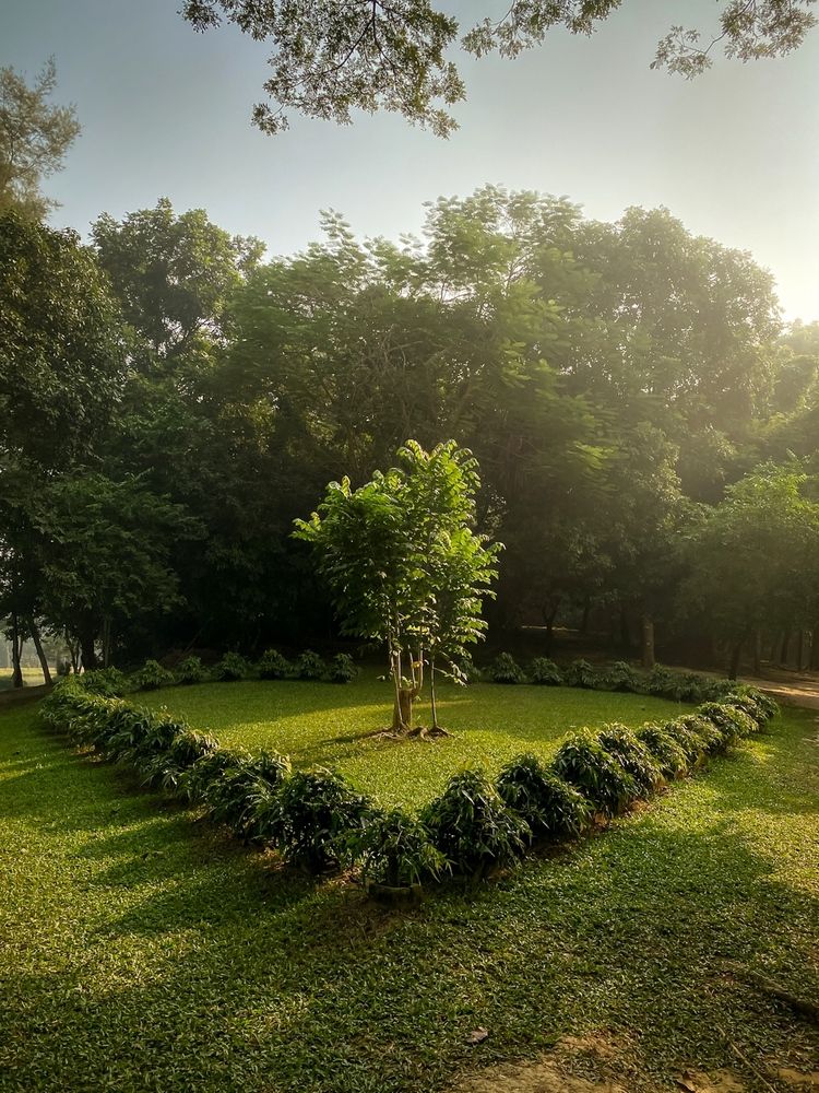 Фотография автора Farhan Rahman