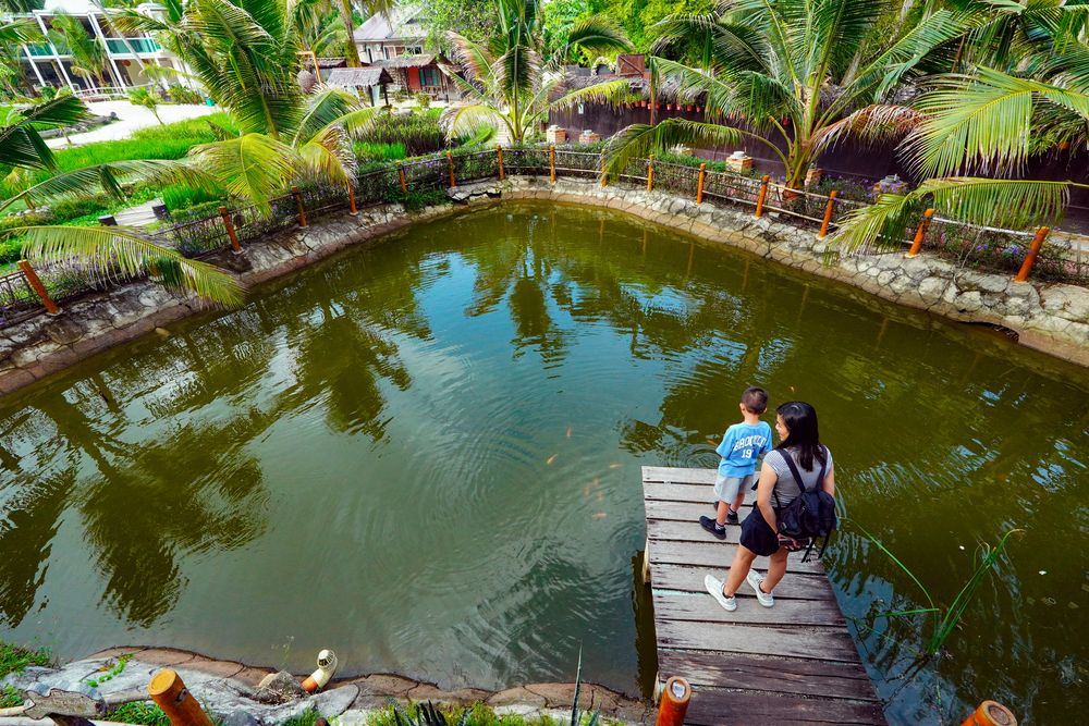 Photograph by Samuel Chan