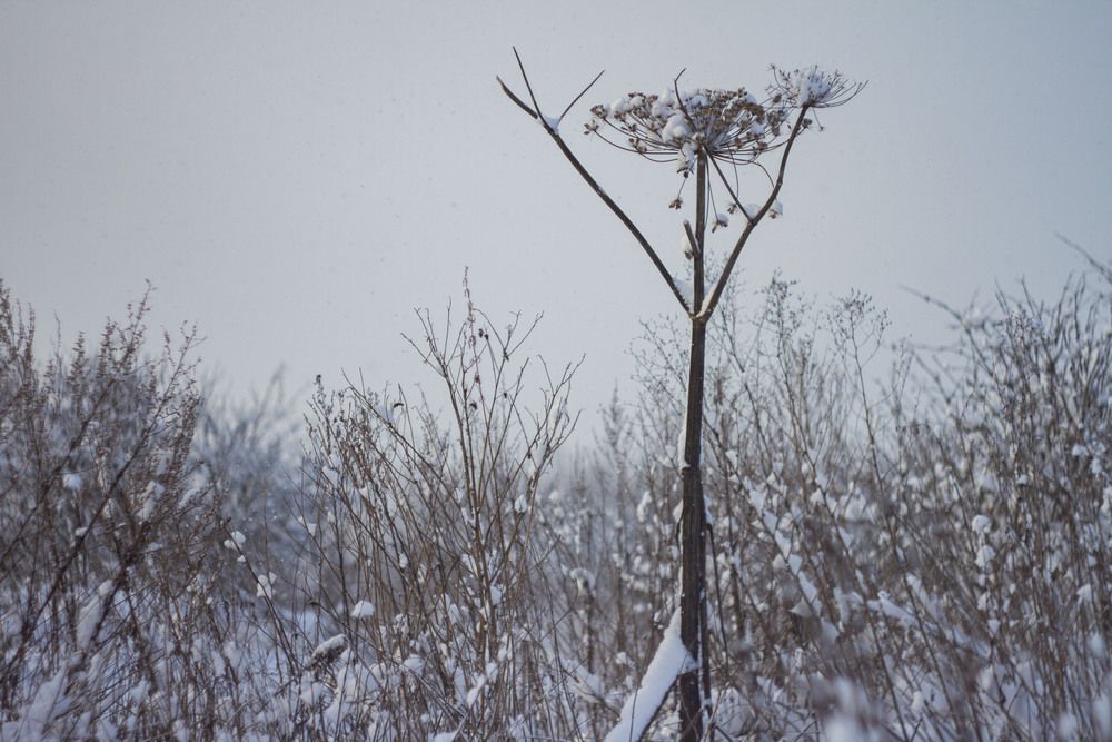 Photograph by Капанов Владислав