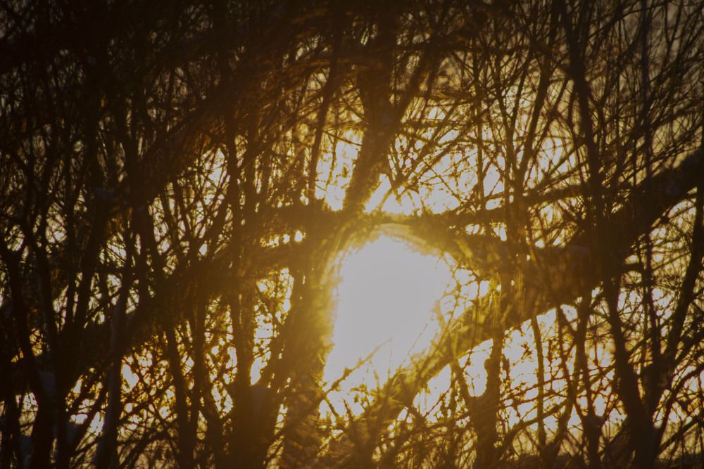 Photograph by Капанов Владислав