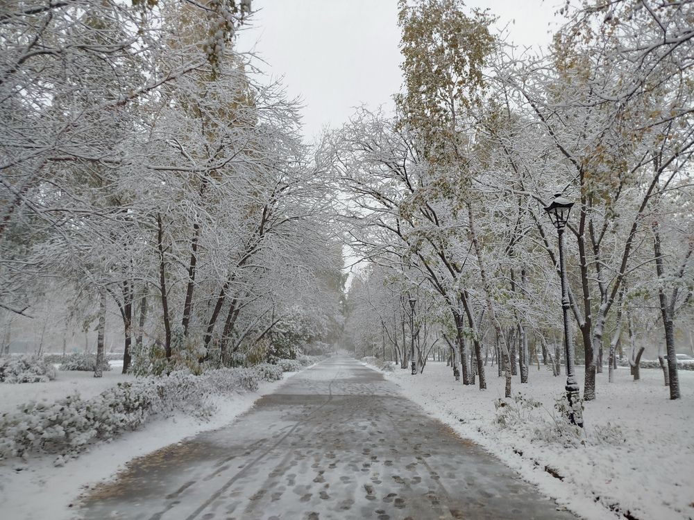 Photograph by Елена Алешкевич