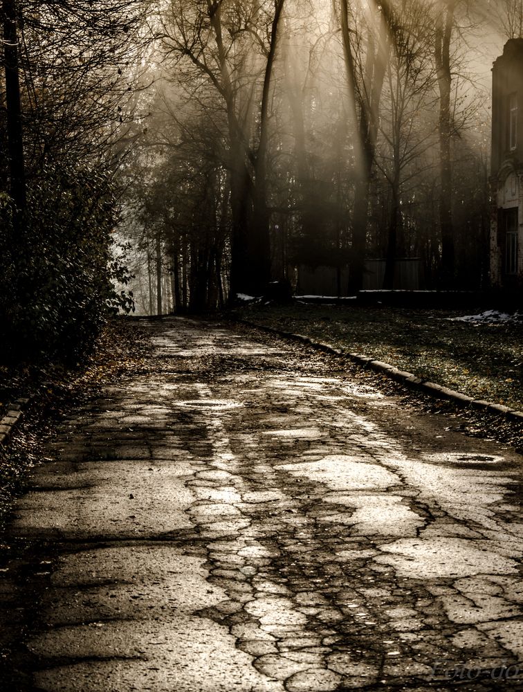 Photograph by Ольга Заповедная