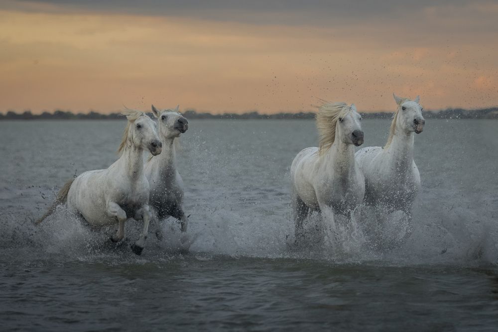 Photograph by Roman Bevzenko