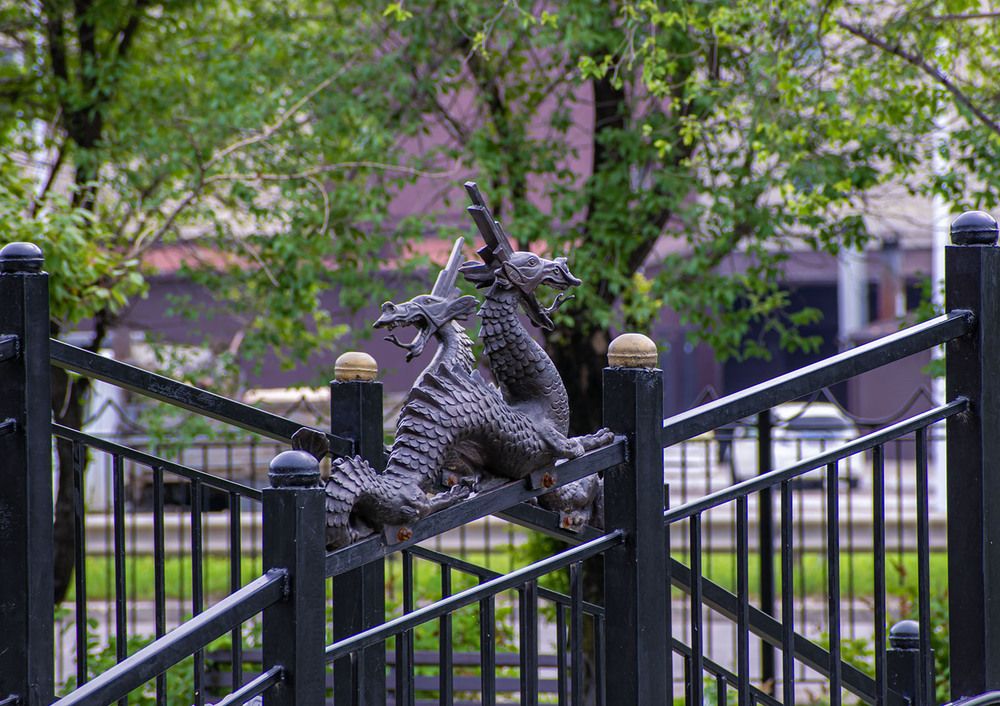 Мифические существа Драконы