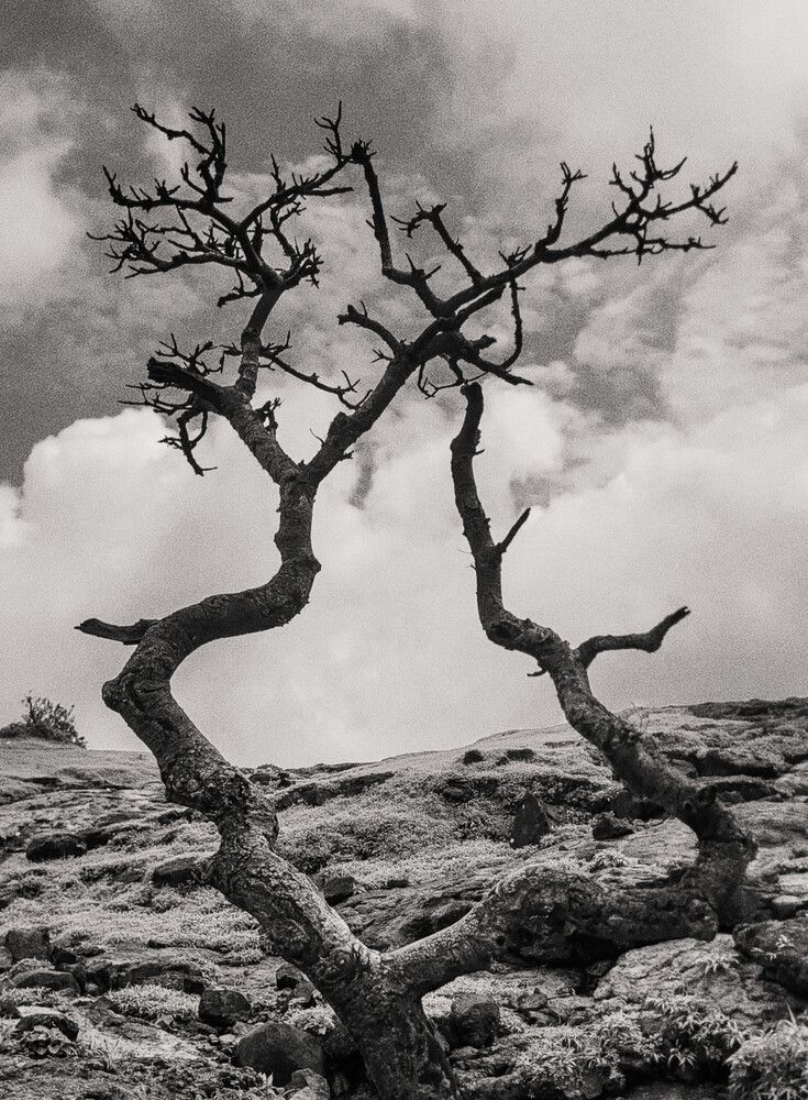 Фотография автора Dhaval Pandya