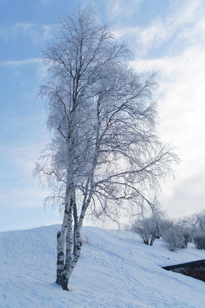 Photograph by Алексей Юрьевич