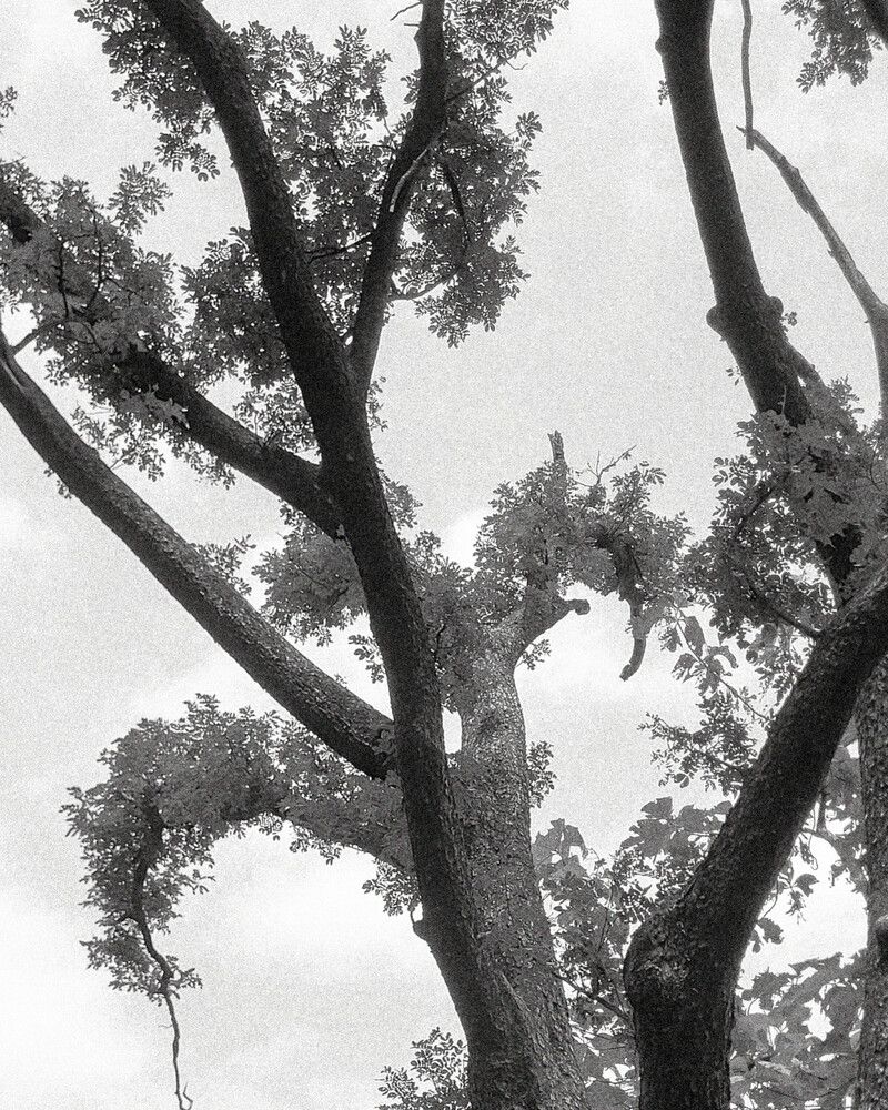 Фотография автора Dhaval Pandya