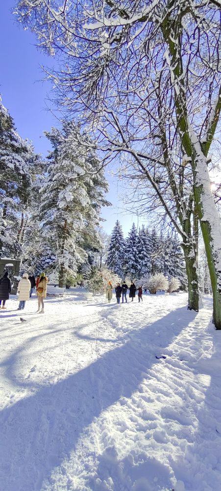 Фотография автора Юрий Сапрыкин