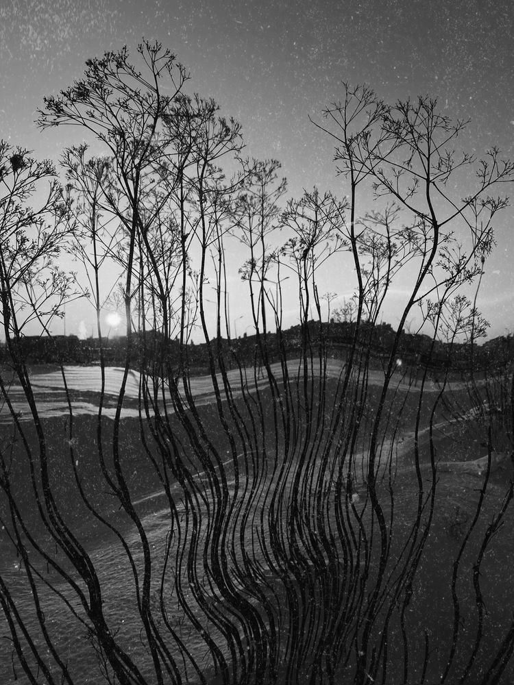 Нереальная реальность