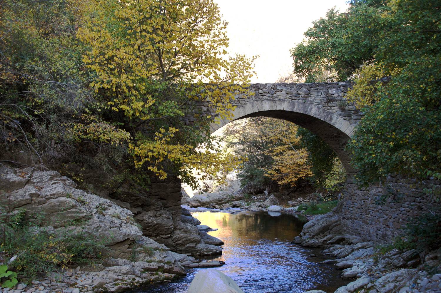 Photo #13047325