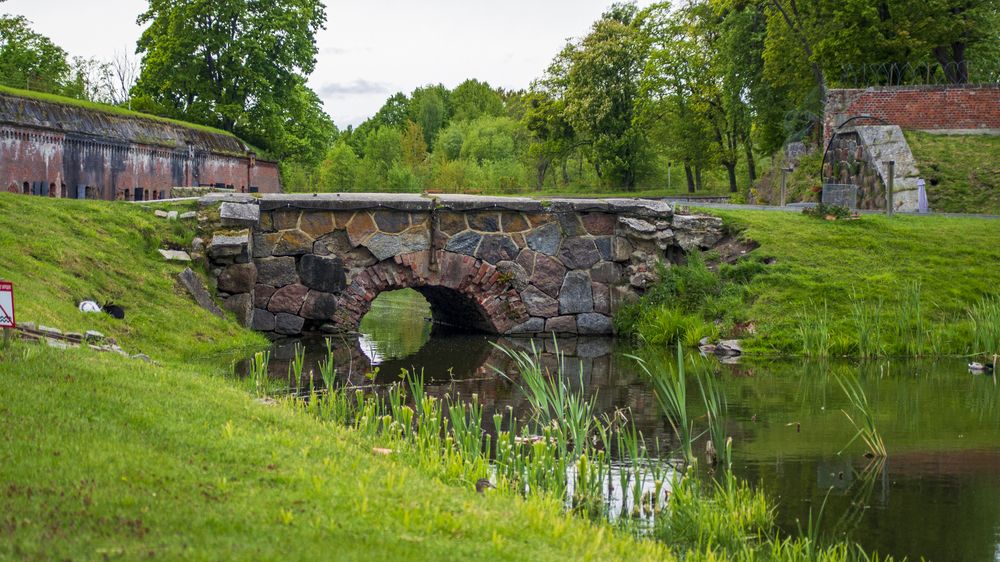 Фотография автора Роман Чернышов