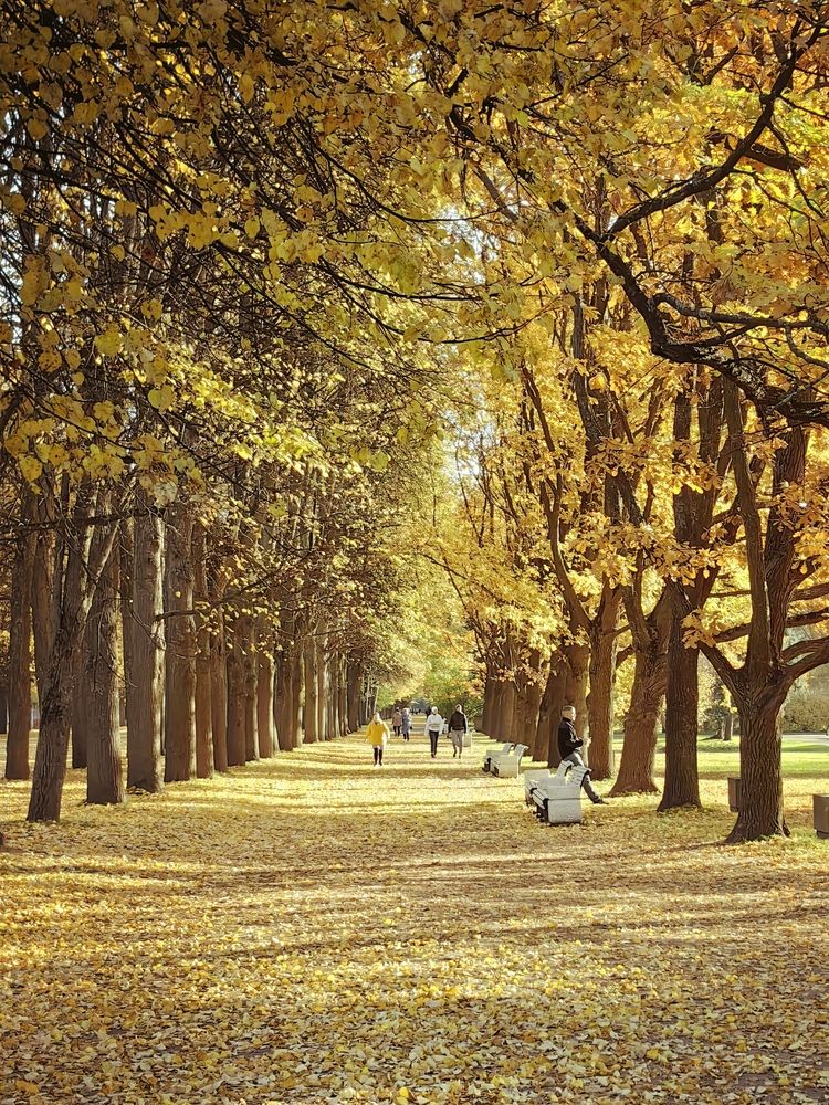 Photograph by Maiya Bulatova