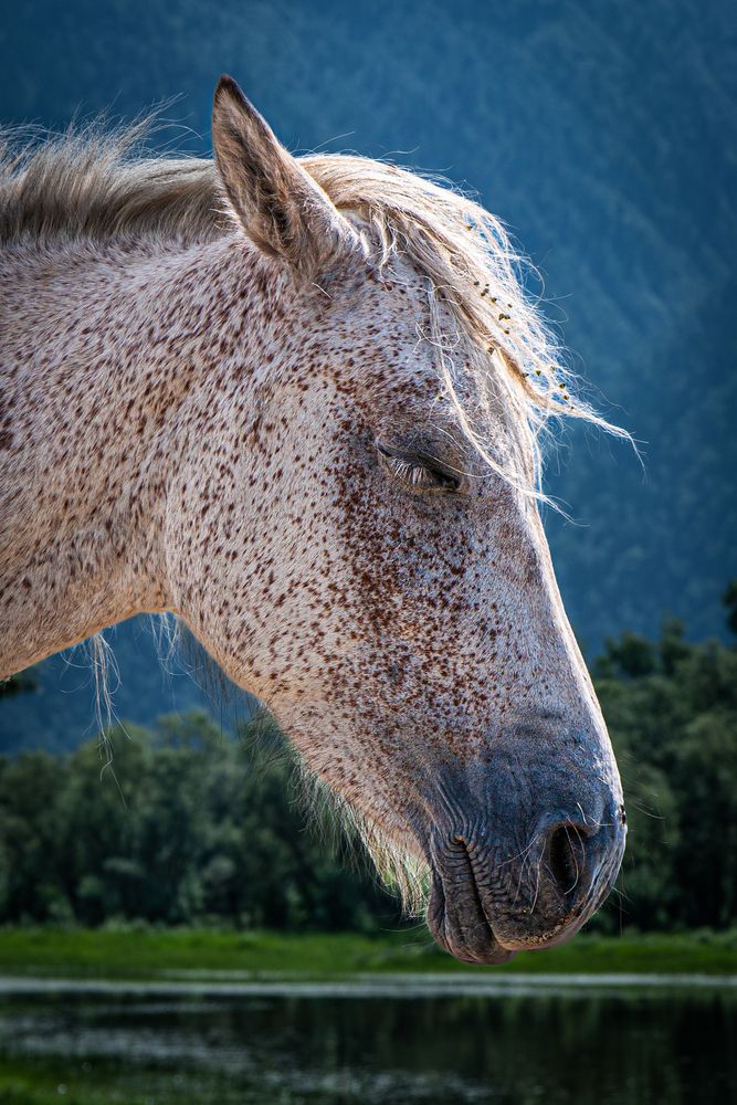 Фотография автора Ольга Мусиенко