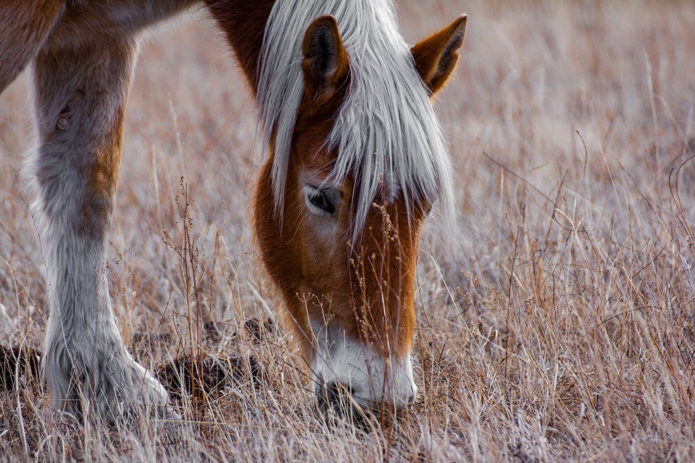 Фотография автора Сергей Третьяков