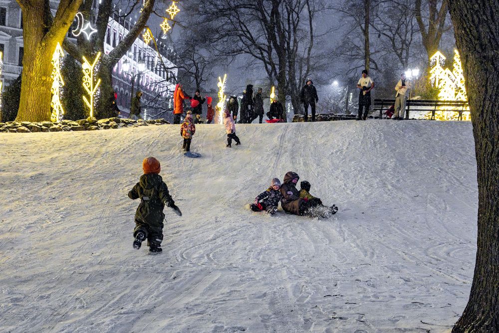 Photograph by Ineta Osipoviča