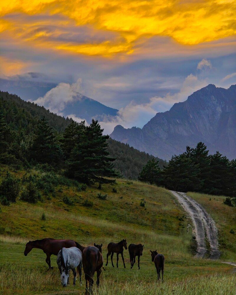 Photograph by Kirav