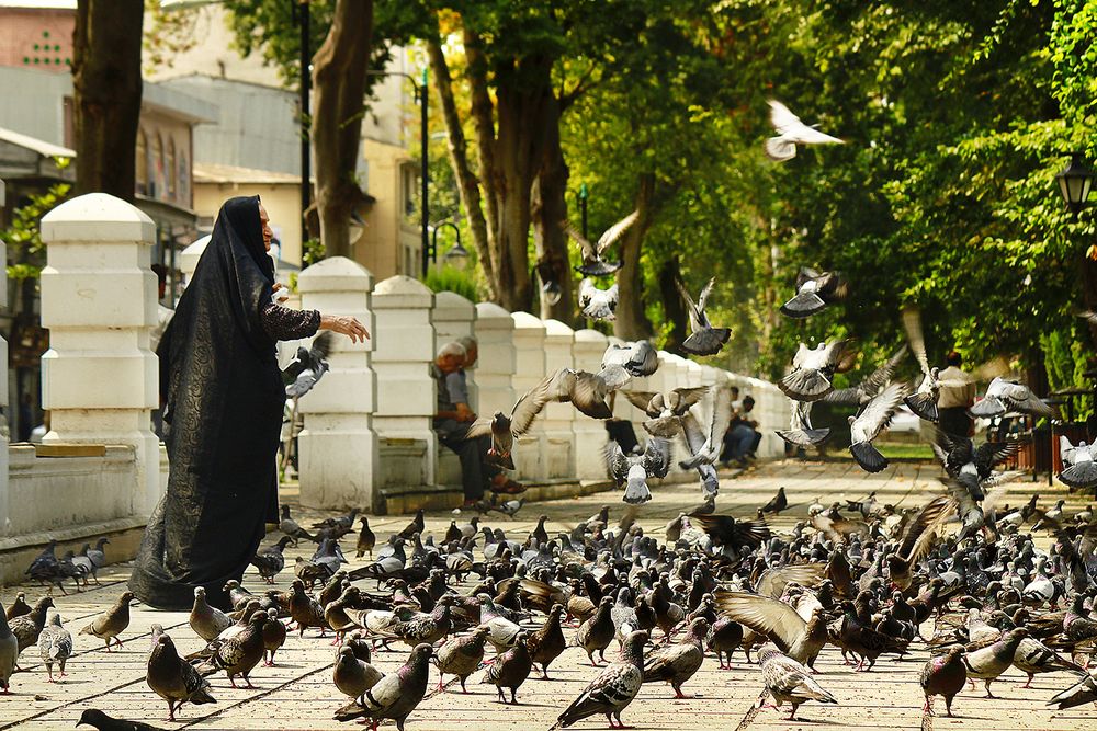 Photograph by hasan sorena jouri