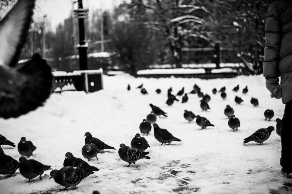 Фотография автора Дарина Фельдман