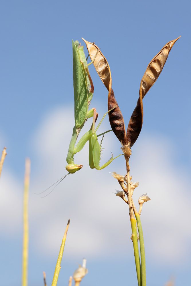 Фотография автора Алексей Попов