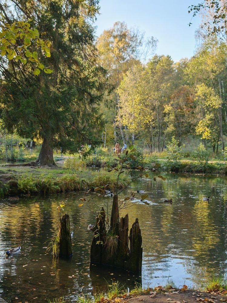 Фотография автора OLga Piirainen