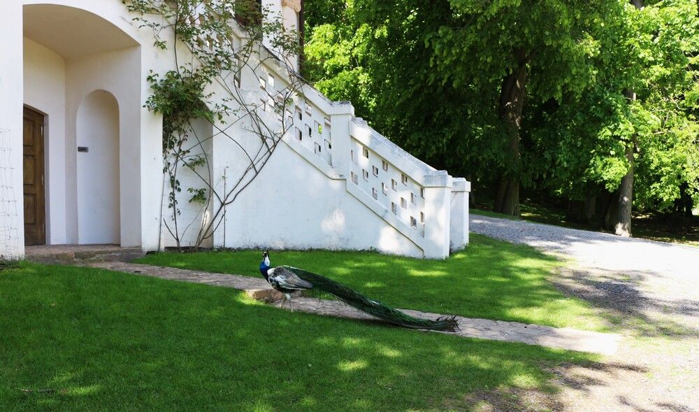 Photograph by ЮЛИЯ ПАВЛЕНКО