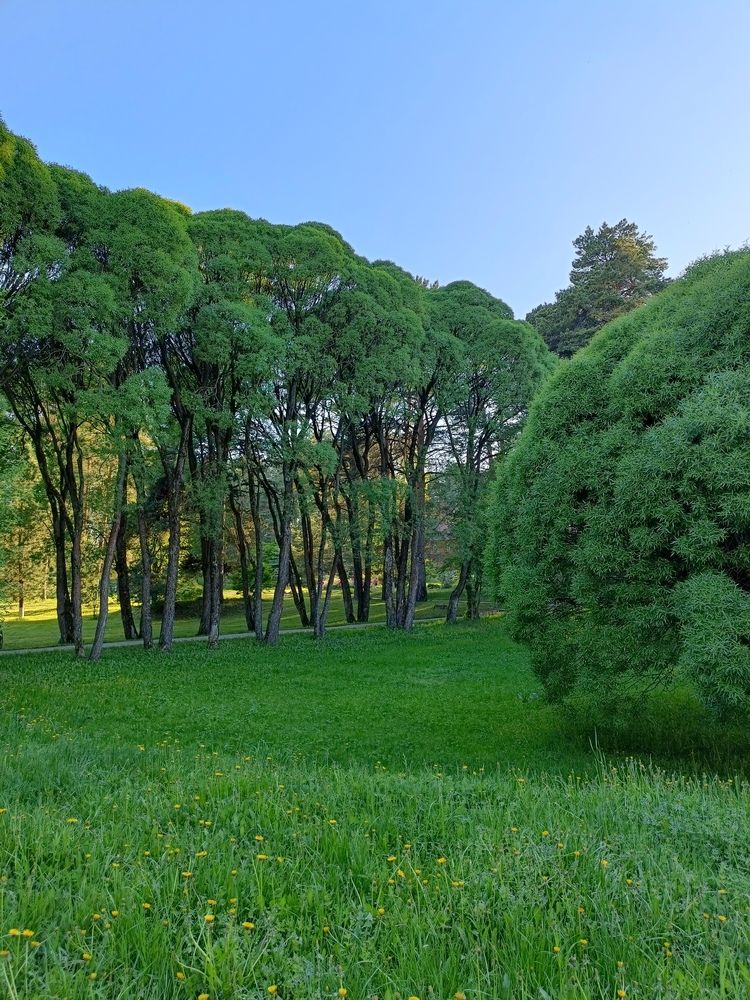 Фотография автора Кристина Киселёва