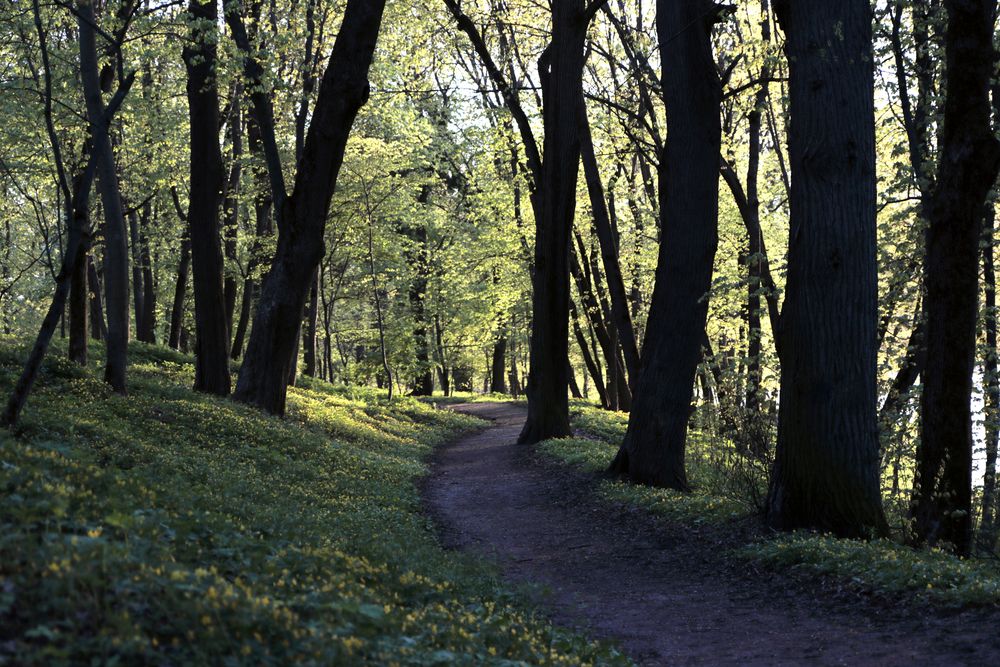 Photograph by Олег С