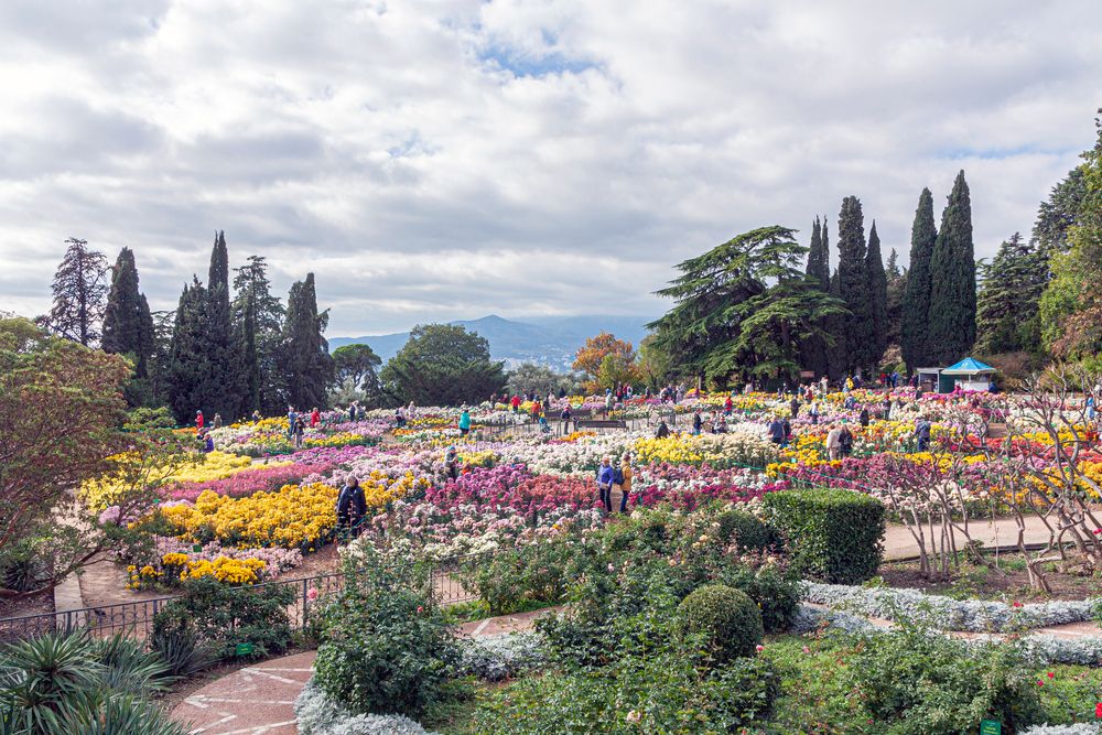 Photograph by Сергей Христинич