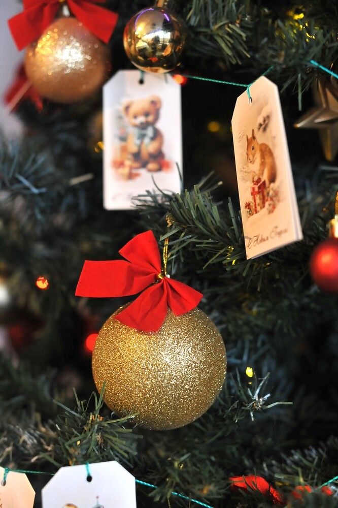 Фотография автора Ольга Пушленкова