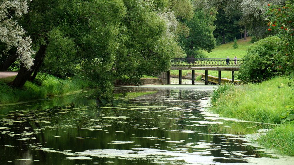 Photograph by Блюмина Елена