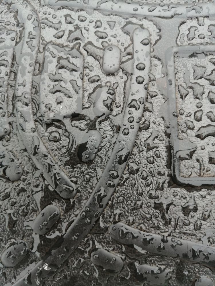 Photograph by Хайбуллина Флора